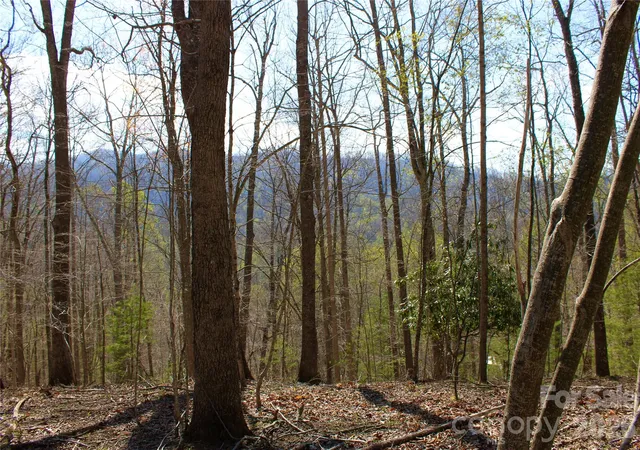 Photo 2 of Land for sale at 00 Scenic View Dr #1 & 2, Green Mountain, NC 28740 | MLS# 4369069 | Listing updated on 2026-10-17
