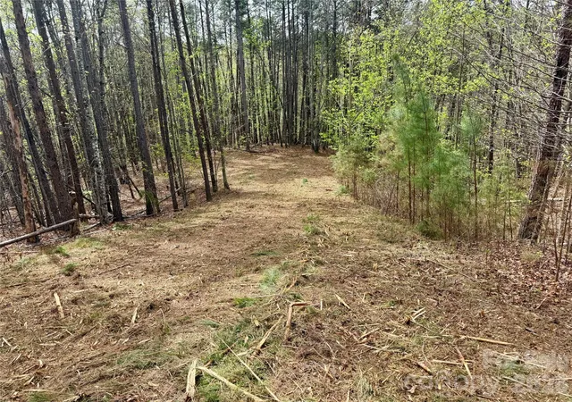 Photo 2 of Land for sale at Lot 488 Bella Vista Way #488, Nebo, NC 28761 | MLS# 4369175 | Listing updated on 2026-04-18
