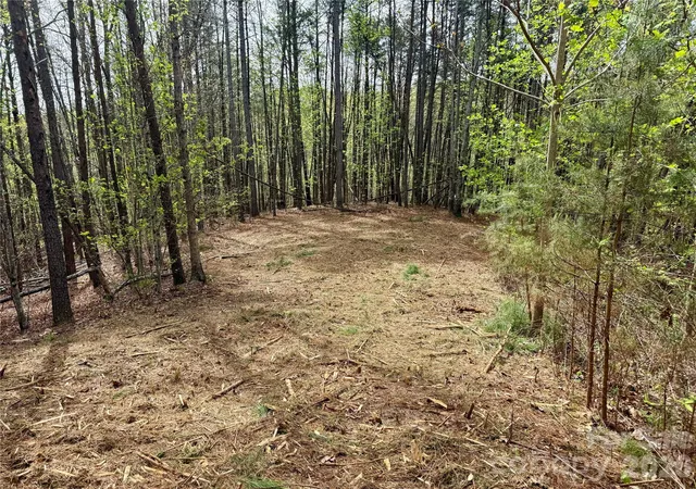 Photo 3 of Land for sale at Lot 488 Bella Vista Way #488, Nebo, NC 28761 | MLS# 4369175 | Listing updated on 2026-04-18
