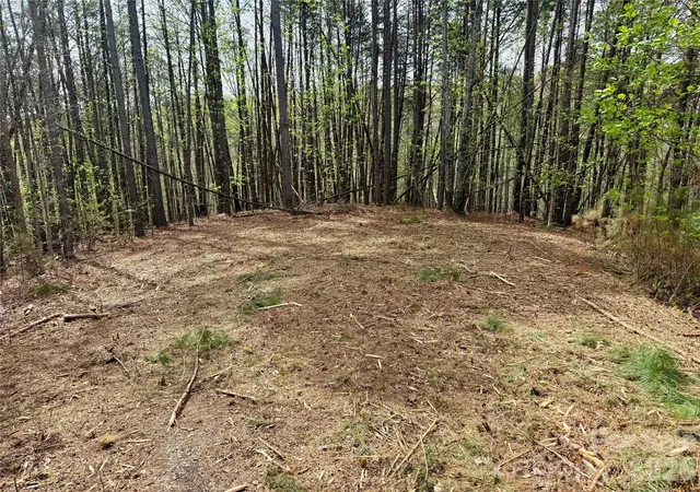 Photo 3 of Land for sale at Lot 488 Bella Vista Way #488, Nebo, NC 28761 | MLS# 4369175 | Listing updated on 2026-04-18
