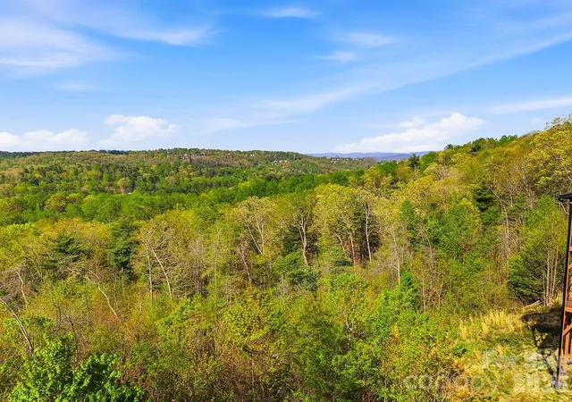 19th image of 325 Curtain Blf #W9, Hendersonville, NC 28791 | MLS# 4369194