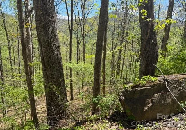 Photo 4 of Land for sale at 0000 Greenview Dr, Maggie Valley, NC 28751 | MLS# 4369309 | Listing updated on 2026-04-17