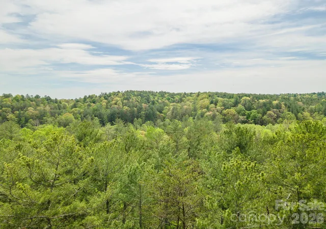 32nd image of 0 Henderson Mill Rd, Morganton, NC 28655 | MLS# 4369423