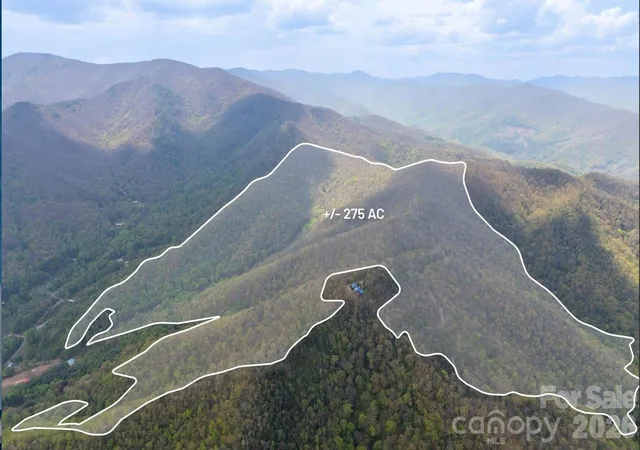 2nd image of 1299 Tiger Tail Ln, Canton, NC 28716 | MLS# 4369430