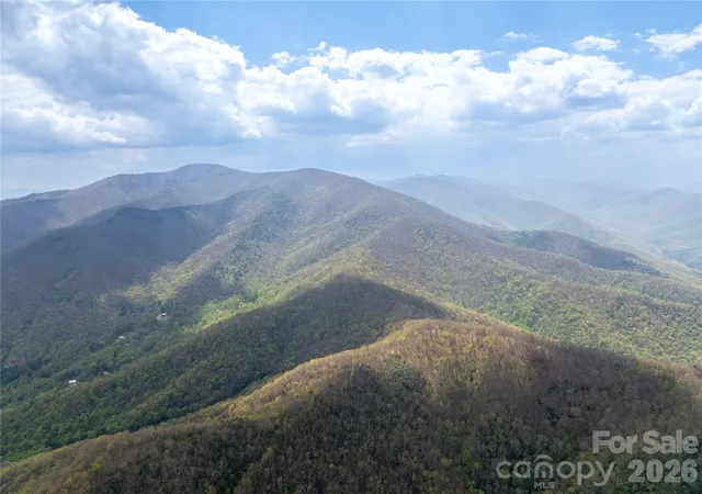3rd image of 1299 Tiger Tail Ln, Canton, NC 28716 | MLS# 4369430