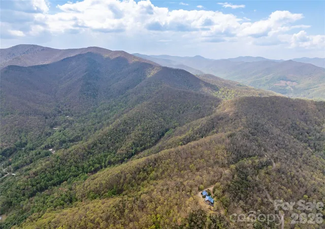 4th image of 1299 Tiger Tail Ln, Canton, NC 28716 | MLS# 4369430