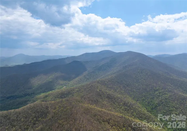5th image of 1299 Tiger Tail Ln, Canton, NC 28716 | MLS# 4369430