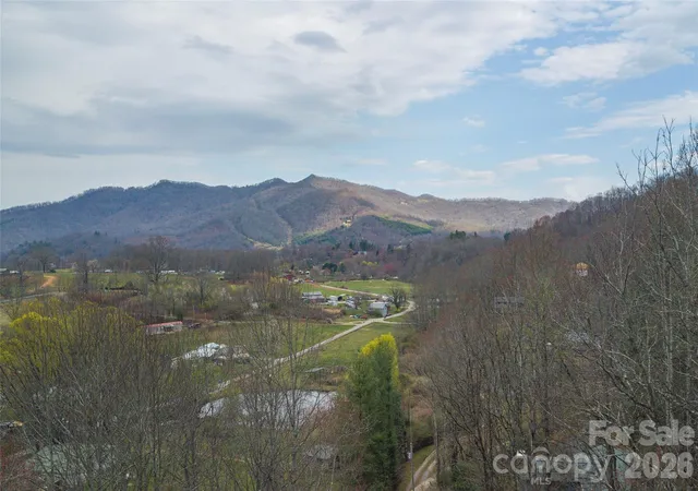 Homes for sale in Waynesville, NC | 99999 Molasses Wy, Waynesville, NC 28785 | MLS# 4369462