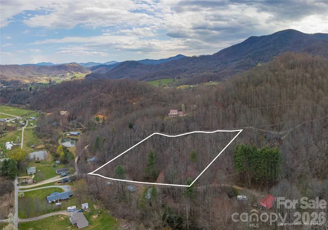 Homes for sale in Waynesville, NC | 99999 Molasses Wy, Waynesville, NC 28785 | MLS# 4369462