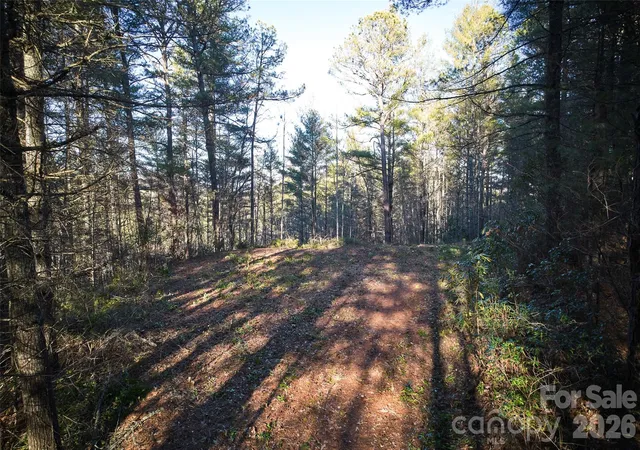 Homes for sale in Bryson City, NC | 00 Piney Cove Rd, Bryson City, NC 28713 | MLS# 4369507