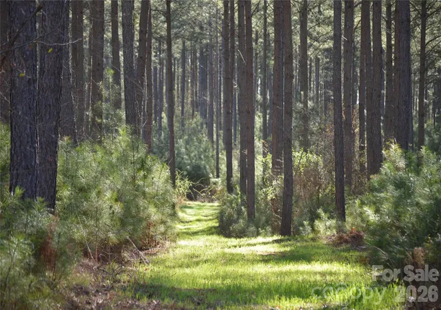Photo 4 of Land for sale at 00 Peter Hawk Crk Rd #14, Jonesville, SC 29353 | MLS# 4369556 | Listing updated on 2026-06-09