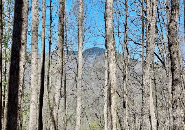 Photo 1 of Land for sale at 00 Maynor Dr, Sylva, NC 28779 | MLS# 4369602 | Listing updated on 2026-05-11