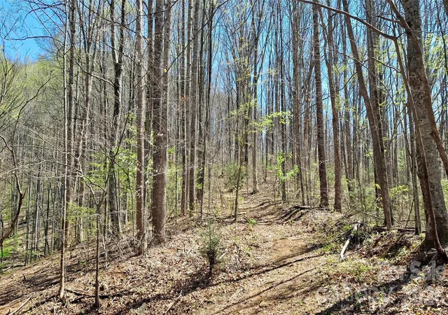 Photo 2 of Land for sale at 00 Maynor Dr, Sylva, NC 28779 | MLS# 4369602 | Listing updated on 2026-05-11