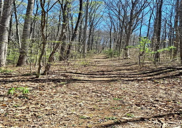 Photo 3 of Land for sale at 00 Maynor Dr, Sylva, NC 28779 | MLS# 4369602 | Listing updated on 2026-05-11