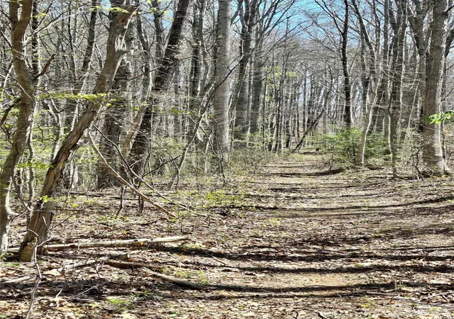 Photo 3 of Land for sale at 00 Maynor Dr, Sylva, NC 28779 | MLS# 4369602 | Listing updated on 2026-05-11