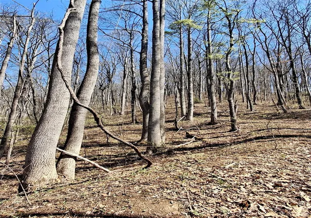 Photo 4 of Land for sale at 00 Maynor Dr, Sylva, NC 28779 | MLS# 4369602 | Listing updated on 2026-05-11