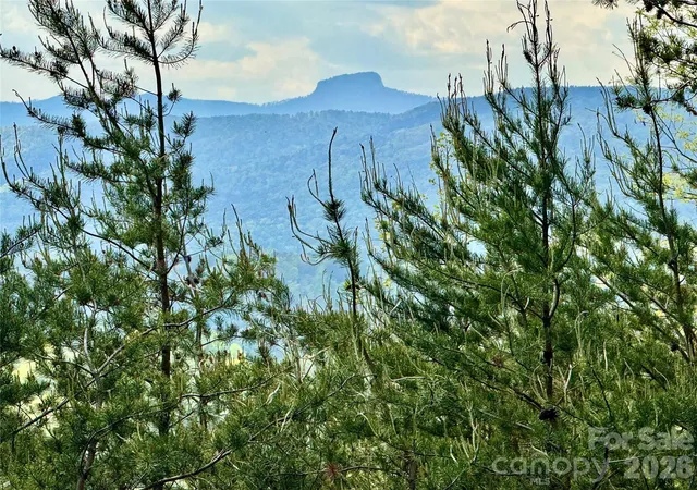 3rd image of Lot 161/162 Rocky Falls Ln #161/162, Lenoir, NC 28645 | MLS# 4369606