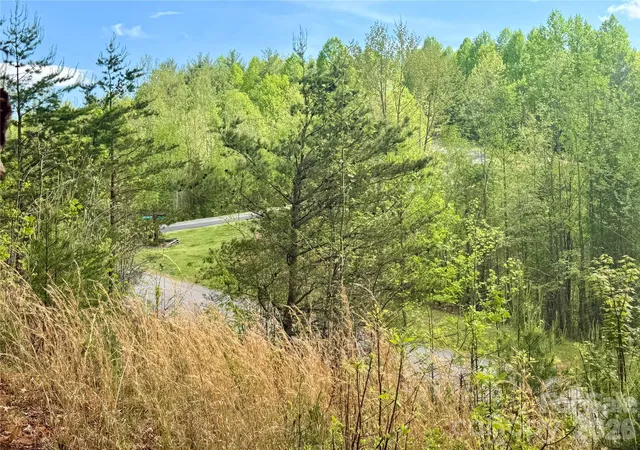 5th image of Lot 161/162 Rocky Falls Ln #161/162, Lenoir, NC 28645 | MLS# 4369606