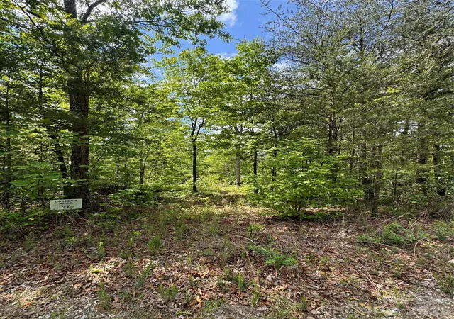Photo 2 of Land for sale at 34 Montgomery Dr, Marion, NC 28752 | MLS# 4369670 | Listing updated on 2026-04-14