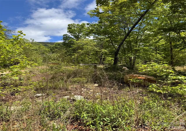 Photo 3 of Land for sale at 34 Montgomery Dr, Marion, NC 28752 | MLS# 4369670 | Listing updated on 2026-04-14