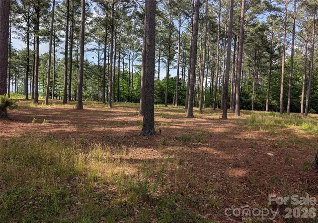 Photo 4 of Land for sale at 0000 Blessed Hope Rd #Tract 2, York, SC 29745 | MLS# 4369712 | Listing updated on 2026-09-16