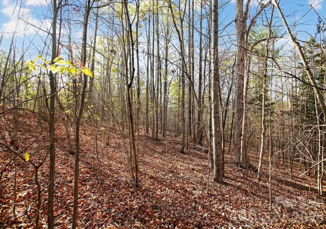 Photo 1 of Land for sale at Lot 62 Dirksen Ave, Nebo, NC | MLS# 4369748 | Listing updated on 2026-09-21