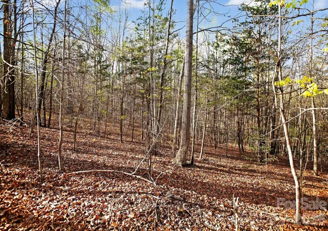 Photo 3 of Land for sale at Lot 62 Dirksen Ave, Nebo, NC | MLS# 4369748 | Listing updated on 2026-09-21
