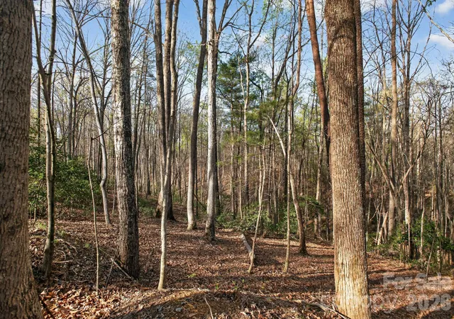 Photo 3 of Land for sale at Lot 62 Dirksen Ave, Nebo, NC | MLS# 4369748 | Listing updated on 2026-09-21