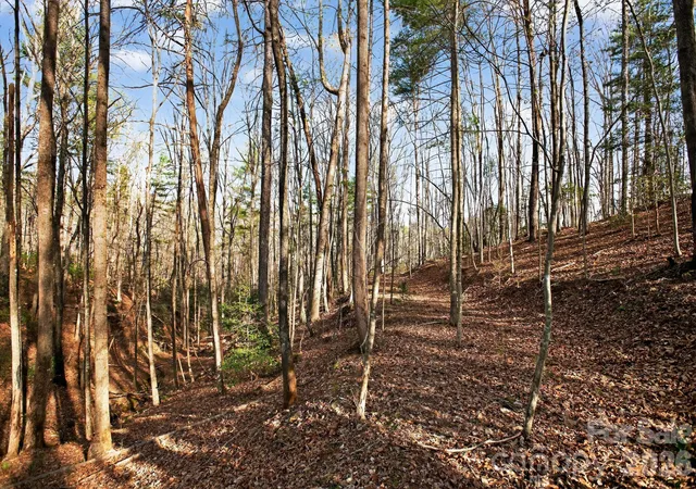 Photo 4 of Land for sale at Lot 62 Dirksen Ave, Nebo, NC | MLS# 4369748 | Listing updated on 2026-09-21