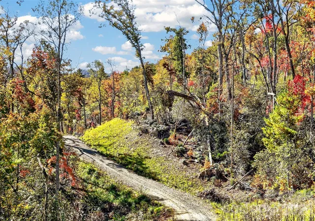 Land for sale at Tbd Swiss Pine Lake Dr #117, Spruce Pine, NC 28777 | MLS# 4369837