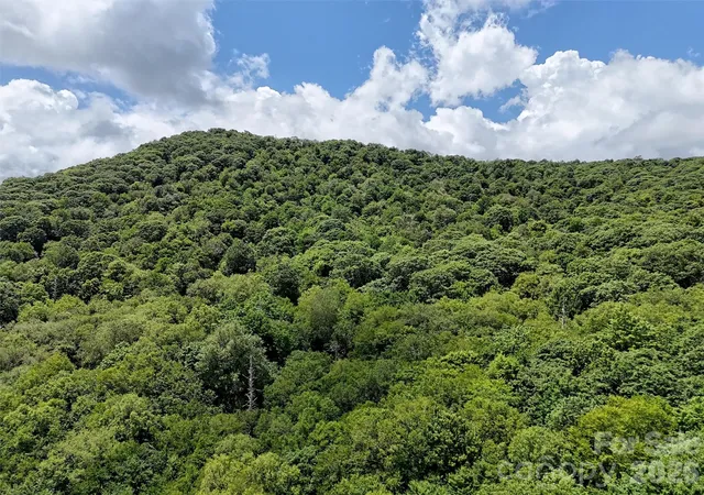 Homes for sale in Maggie Valley, NC | Lot #67 Spring Dr, Maggie Valley, NC 28751 | MLS# 4369931