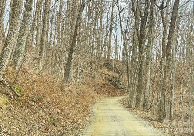 4th image of 125 Gavin Glen Rd, Weaverville, NC 28787 | MLS# 4369991