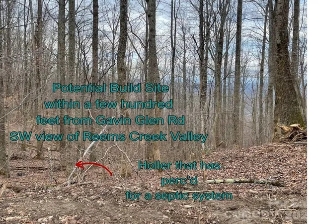 5th image of 125 Gavin Glen Rd, Weaverville, NC 28787 | MLS# 4369991