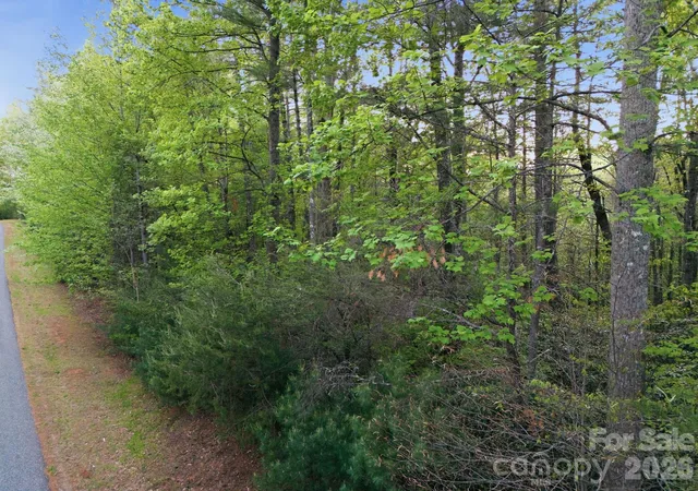 Photo 3 of Land for sale at Lot 40 Larkhaven Dr, Nebo, NC 28761 | MLS# 4369992 | Listing updated on 2026-07-24