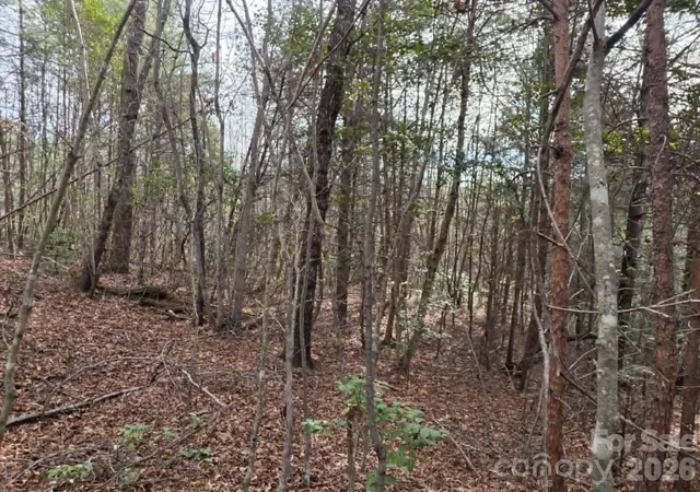 Photo 2 of Land for sale at Lot 6 Kerlee Ln, Old Fort, NC 28762 | MLS# 4370007 | Listing updated on 2026-06-24