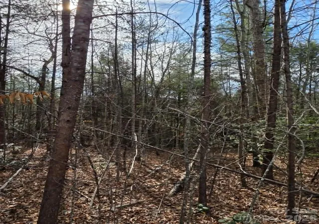 Photo 3 of Land for sale at Lot 6 Kerlee Ln, Old Fort, NC 28762 | MLS# 4370007 | Listing updated on 2026-06-24