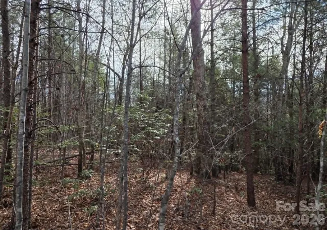 Photo 4 of Land for sale at Lot 6 Kerlee Ln, Old Fort, NC 28762 | MLS# 4370007 | Listing updated on 2026-06-24