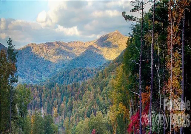 5th image of 48 Longspur Ln #58, Asheville, NC 28804 | MLS# 4370028