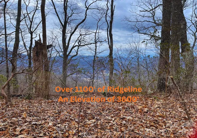 Photo 3 of Land for sale at 135 Gavin Glen Rd, Weaverville, NC 28787 | MLS# 4370084 | Listing updated on 2026-09-28