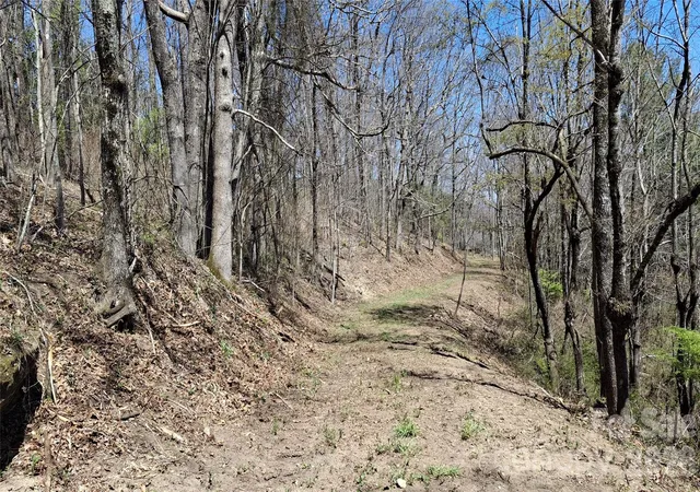 Homes for sale in Glenville, NC | 00 Big Ridge Rd, Glenville, NC 28736 | MLS# 4370108