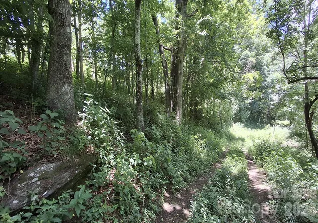 Homes for sale in Glenville, NC | 00 Big Ridge Rd, Glenville, NC 28736 | MLS# 4370108