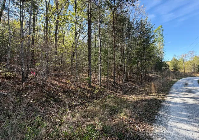 3rd image of 0 Running Cedar Trl, Morganton, NC 28655 | MLS# 4370138