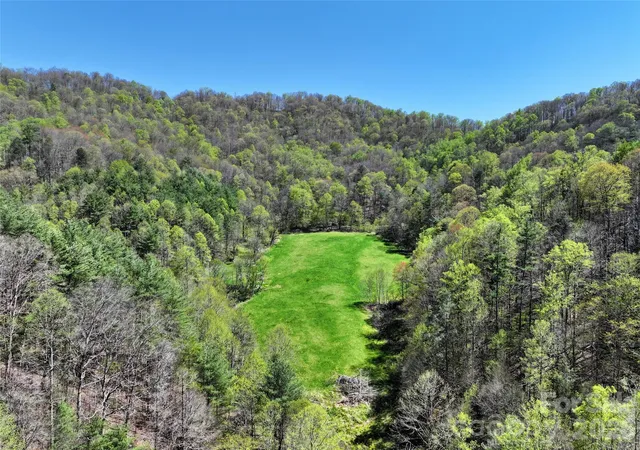 Homes for sale in Green Mountain, NC | 2180 Pigeon Roost Rd, Green Mountain, NC 28740 | MLS# 4370238