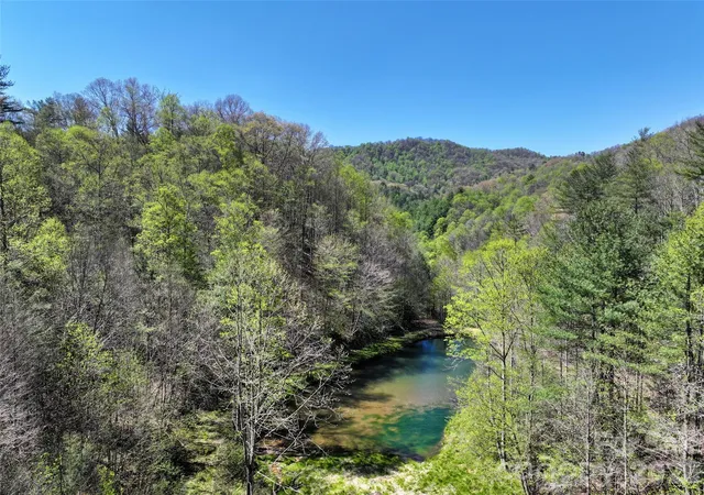 Homes for sale in Green Mountain, NC | 2180 Pigeon Roost Rd, Green Mountain, NC 28740 | MLS# 4370238