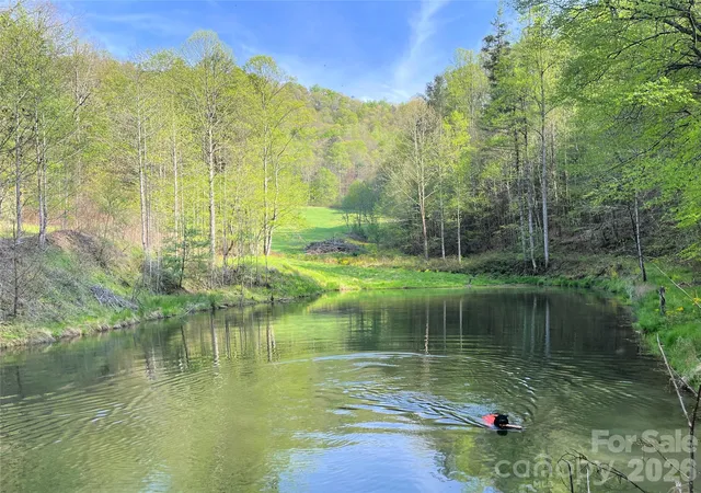 Homes for sale in Green Mountain, NC | 2180 Pigeon Roost Rd, Green Mountain, NC 28740 | MLS# 4370238