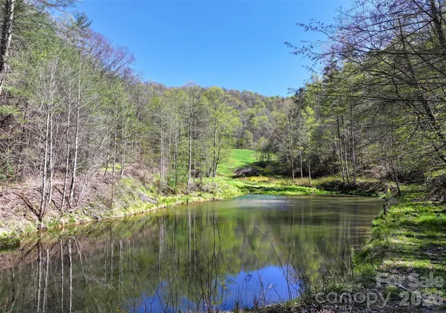 Homes for sale in Green Mountain, NC | 2180 Pigeon Roost Rd, Green Mountain, NC 28740 | MLS# 4370238