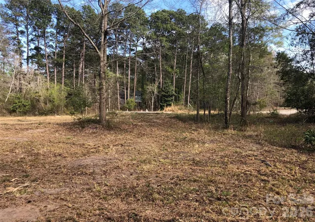 4th image of 0000 Williams Cir, West Columbia, SC 29172 | MLS# 4370304
