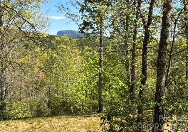 Photo 1 of Land for sale at 284 Bear Cliff Cir, Nebo, NC 28761 | MLS# 4370485 | Listing updated on 2026-08-15