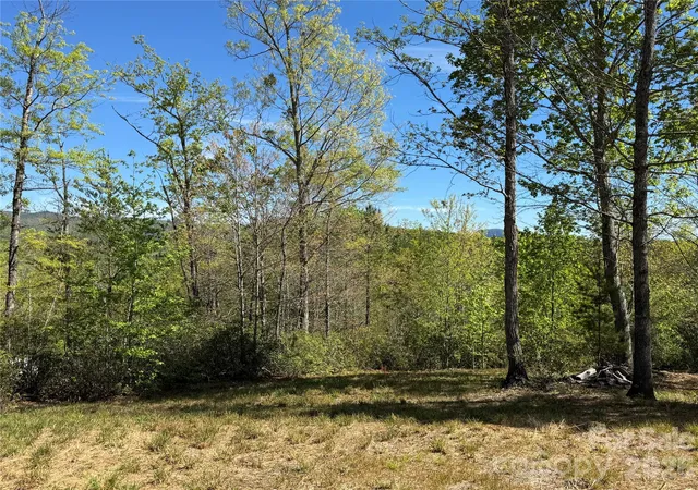 Photo 2 of Land for sale at 284 Bear Cliff Cir, Nebo, NC 28761 | MLS# 4370485 | Listing updated on 2026-08-15