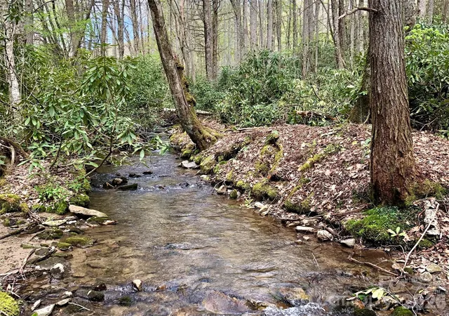 Homes for sale in Green Mountain, NC | 2811 Poplar Creek Rd, Green Mountain, NC 28740 | MLS# 4370609